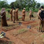 WhatsApp Image 2024-01-09 at 10.12.11