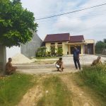 WhatsApp Image 2025-08-21 at 14.07.12